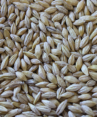montana milling inc whole barley
